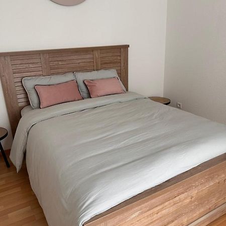 Appartement 1 Chambre Rue Faubourg De Besancon Montbéliard Extérieur photo