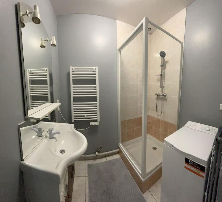 Appartement 1 Chambre Rue Faubourg De Besancon Montbéliard Extérieur photo