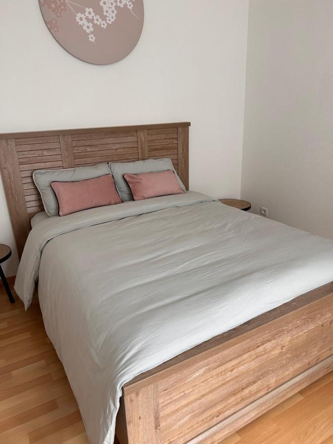 Appartement 1 Chambre Rue Faubourg De Besancon Montbéliard Extérieur photo